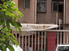 -柴犬高等学院·狗咖·柴犬售卖·宠物训练