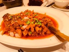 -老吉士(环贸iapm店)
