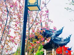 -东台西溪天仙缘景区