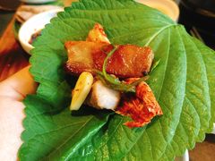 -Dombe豚(黑猪肉街店)