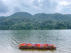 -广州市石门国家森林公园