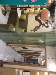 -芳朵美容养生SPA