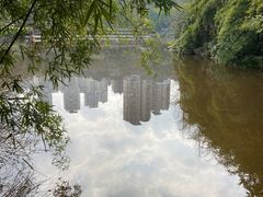 -龙头寺公园