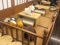-豆柴町-柴犬主题狗咖(红鼎国际C座店)