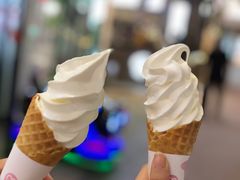 -蜜雪冰城·冰激凌与茶(瑞安吾悦店)