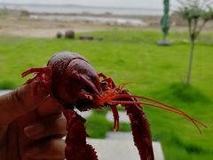 -七的湖·晚芳亭·阳澄湖农家菜·大闸蟹(莲花岛店)