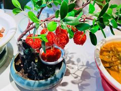 -奔跑吧陕菜·盛世长安(民乐园万达店)