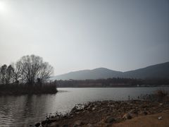 -长广溪湿地公园