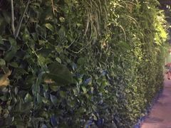 -青年公社烤鸭(蜀山万象汇店)