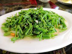 -阿兰白家宴