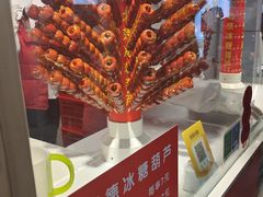 -和禄德冰糖葫芦