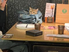 -烤匠麻辣烤鱼(万象城店)