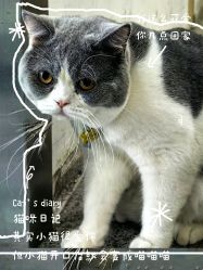 -和木形象