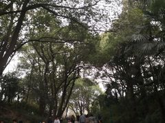 -蜀冈西峰生态公园