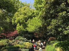 -杭州半山国家森林公园