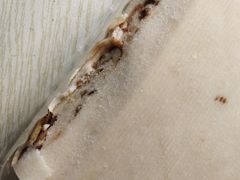 -嘉华饼屋JOY BAKERY(南屏街店)