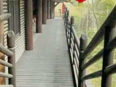 -大唐贡茶院