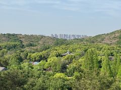 -白马涧龙池景区
