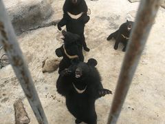 -青峰峡国家森林公园