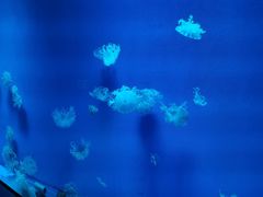 -福州罗源湾海洋世界旅游区