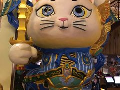 -more than meow吴止猫主题餐厅(承德 中船汇店)