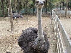 -遇见世外桃源教育农场