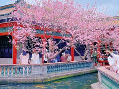 -宝墨园景区