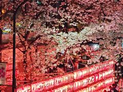 -涩谷全向十字路口