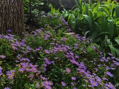 -大妙火锅·非物质文化遗产(东湖公园店)