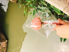 -寒香会社(平江路店)