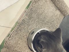 -小时光咖啡馆(开森度假森林店)