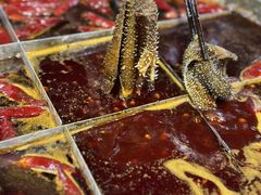 -铜元老码头鳝鱼火锅