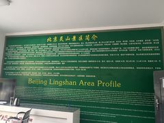 -灵山