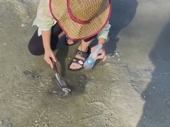 -红树林天天赶海