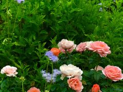 -上海山野camping·户外天幕烧烤·团建拓展营地