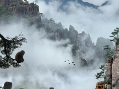 -黄山风景区
