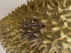-天河沃尔玛
