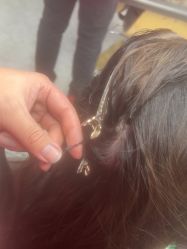 -范美特接发·染发漂发