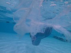 -上海潜殿潜水中心