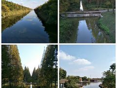 -黄海国家森林公园