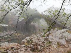 -鹿亭中村