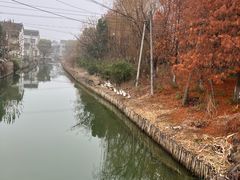 -苏州太湖国家湿地公园