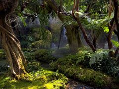 -Chom Cafe and Restaurant