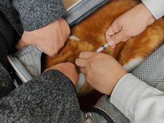 -谐和贝康宠物医院24小时·宠保定点(急重症转诊中心)