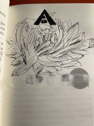 -INK STORY专业刺青·穿孔·洗纹身