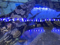-日照大牌檔•小船海鲜(万平口店)