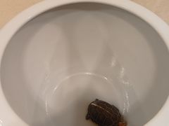 -九忠祥小笼馆(保利时光里店)