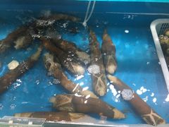 -港畔赶海蒸汽海鲜烧烤自助(仙螺岛店)