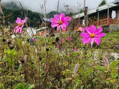 -硗碛藏寨·神木垒景区