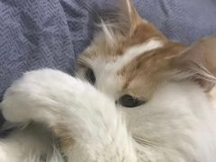 -泰妃堂.泰菜.夜宵(赤岗总店)